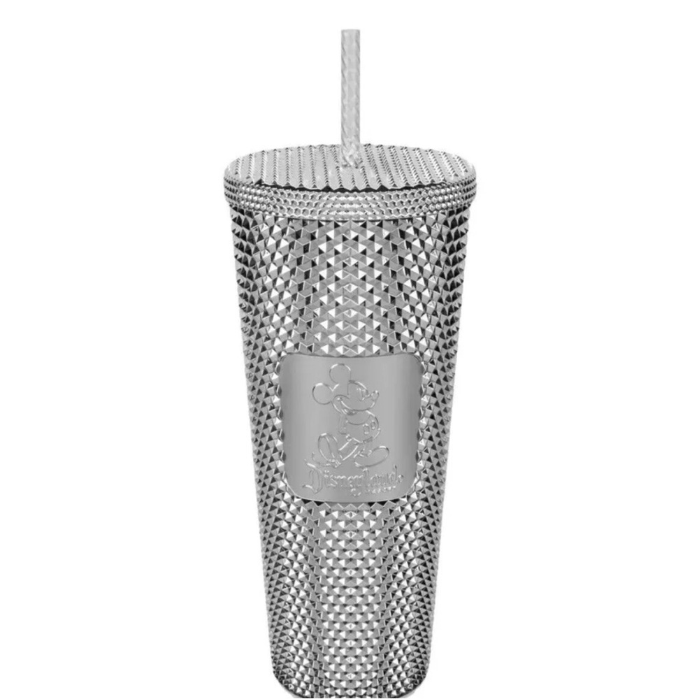 Disney World and Starbucks Silver  Tumbler